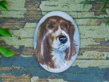 DOG CABOCHON ROCK STONE LAPIDARY SPECIMEN