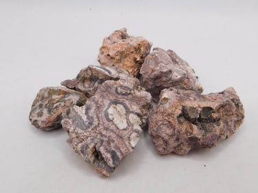 LEOPARD SKIN JASPER ROCK STONE LAPIDARY SPECIMEN