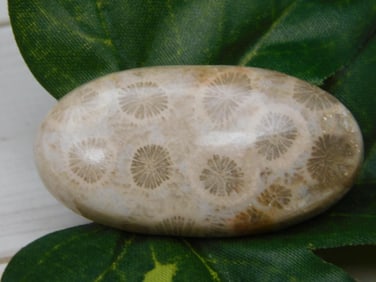 SPECIAL JEWELRY SALE! SEE PHOTOS FOR DETAILS