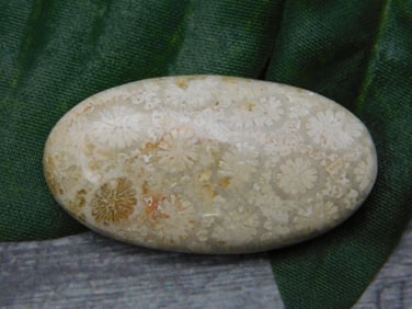 SPECIAL JEWELRY SALE! SEE PHOTOS FOR DETAILS