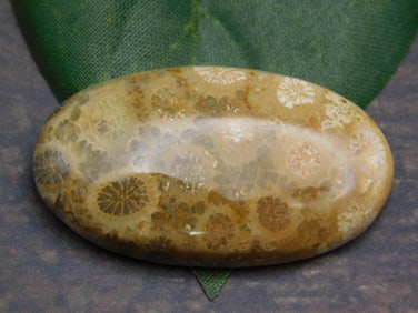 SPECIAL JEWELRY SALE! SEE PHOTOS FOR DETAILS