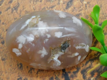 HATMANS FLOWER PETAL AGATE ROCK STONE LAPIDARY SPECIMEN