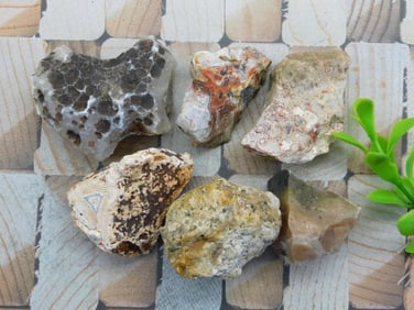 MIXED LOT ROCK STONE LAPIDARY SPECIMEN