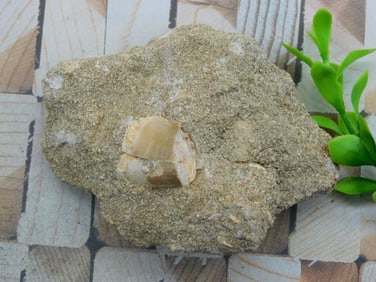 DINOSAUR TOOTH IN MATRIX ROCK STONE LAPIDARY SPECIMEN