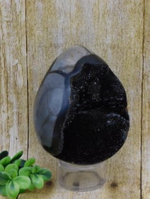 SEPTARIAN DRAGON EGG ROCK STONE LAPIDARY SPECIMEN