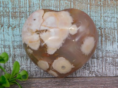 HATMANS FLOWER PETAL AGATE ROCK STONE LAPIDARY SPECIMEN