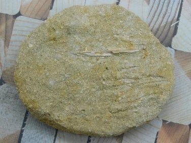 DINOSAUR BONE IN MATRIX ROCK STONE LAPIDARY SPECIMEN