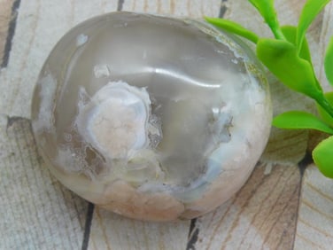 HATMANS FLOWER PETAL AGATE ROCK STONE LAPIDARY SPECIMEN