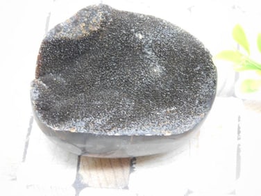 SEPTARIAN ROCK STONE LAPIDARY SPECIMEN