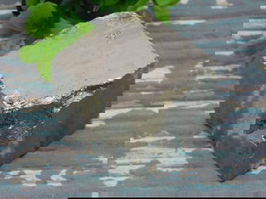 ILLUSTRIOUS SPANISH PYRITE CUBE ROCK STONE LAPIDARY SPECIMEN