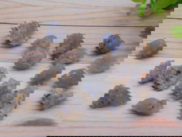 ELLENSBURG AGATE ROCK STONE LAPIDARY SPECIMEN