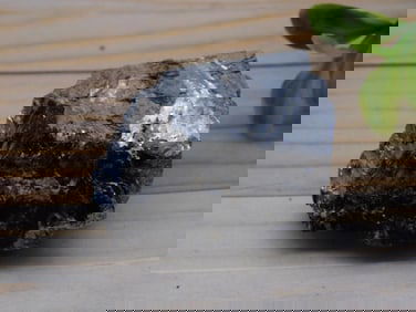 GALENA ROCK STONE LAPIDARY SPECIMEN