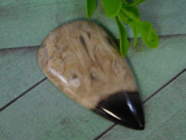 PETRIFIED PALM WOOD CABOCHON ROCK STONE LAPIDARY SPECIMEN