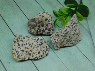 DALMATION JASPER ROCK STONE LAPIDARY SPECIMEN