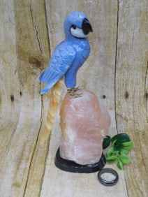 STONE BIRD AND RING ROCK STONE LAPIDARY SPECIMEN