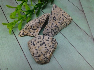 DALMATION JASPER ROCK STONE LAPIDARY SPECIMEN