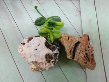 MIXED ROUGH LOT ROCK STONE LAPIDARY SPECIMEN