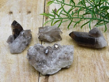 SMOKY QUARTZ ROCK STONE LAPIDARY SPECIMEN