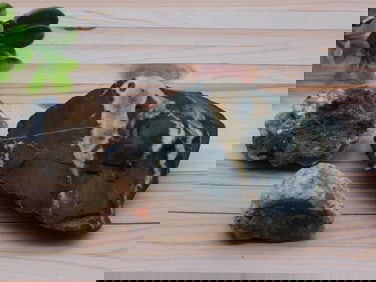 MIXED ROUGH ROCK ROCK STONE LAPIDARY SPECIMEN