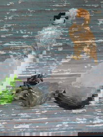 MIXED LOT ROCK STONE LAPIDARY SPECIMEN