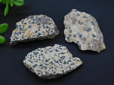 DALMATION JASPER ROCK STONE LAPIDARY SPECIMEN