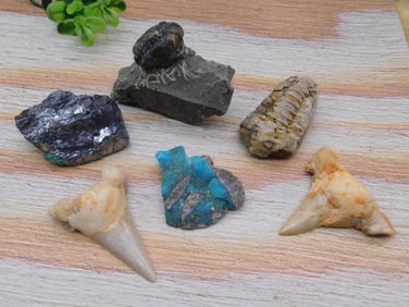 MIXED LOT ROCK STONE LAPIDARY SPECIMEN