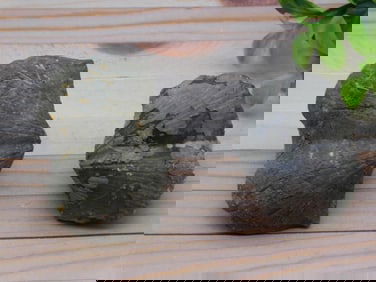 BRACHIOPOD ROCK STONE LAPIDARY SPECIMEN