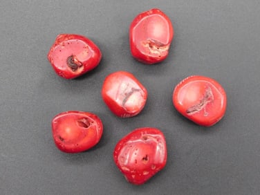RED CORAL ROCK STONE LAPIDARY SPECIMEN