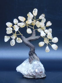 STONE TREE ROCK STONE LAPIDARY SPECIMEN