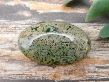 OCEAN JASPER CABOCHON ROCK STONE LAPIDARY SPECIMEN