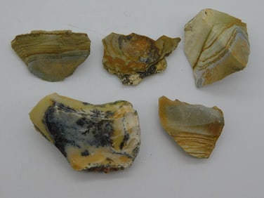 JASPER ROCK STONE LAPIDARY SPECIMEN