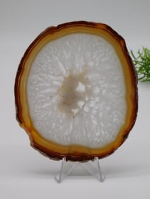 AGATE SLICE ROCK STONE LAPIDARY SPECIMEN