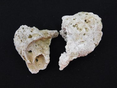 AGATIZED QUARTZ ROCK STONE LAPIDARY SPECIMEN