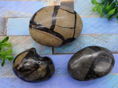 SEPTARIAN ROCK STONE LAPIDARY SPECIMEN