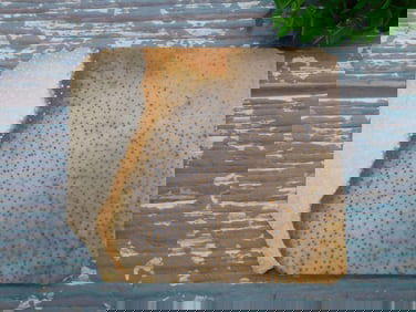 PETRIFIED PALM WOOD SLAB ROCK STONE LAPIDARY SPECIMEN