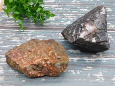 GUADALUPE POPPY JASPER MIXED LOT ROCK STONE LAPIDARY SPECIMEN