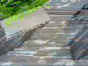 ILLUSTRIOUS SPANISH PYRITE CUBE ROCK STONE LAPIDARY SPECIMEN