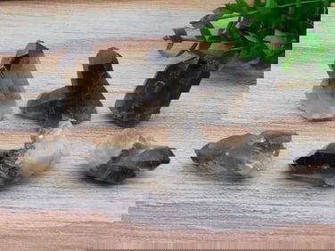 SMOKY QUARTZ ROCK STONE LAPIDARY SPECIMEN