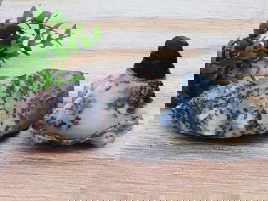 DENDRITIC OPALITE ROCK STONE LAPIDARY SPECIMEN