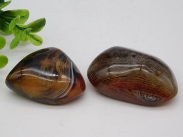 SARDONYX ROCK STONE LAPIDARY SPECIMEN