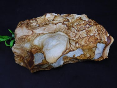 JASPER ROCK STONE LAPIDARY SPECIMEN