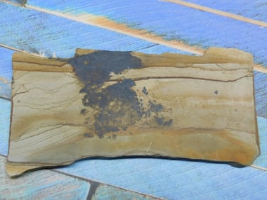 Natural Multi-Toned Rock Slab With Unique Veining Pattern Rock Stone Lapidary Specimen