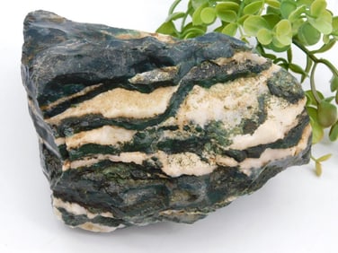 ZEBRA ROCK ROCK STONE LAPIDARY SPECIMEN