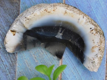 Agate PIECE with Blue and Black Hues ROCK STONE LAPIDARY SPECIMEN