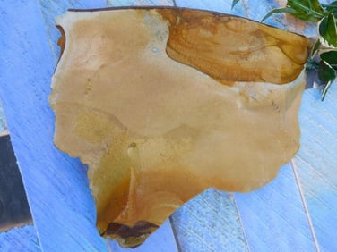 JASPER ROCK STONE LAPIDARY SPECIMEN