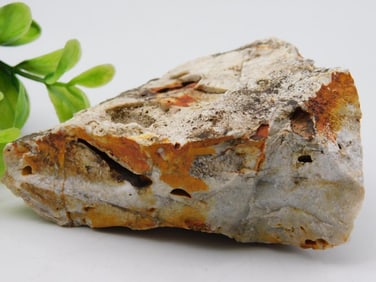 Rough Specimen ROCK STONE LAPIDARY SPECIMEN