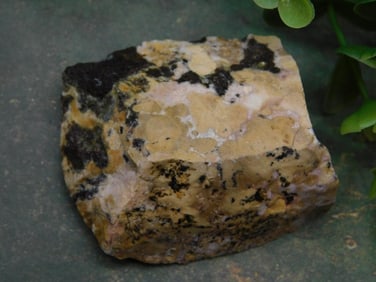 Rock Stone Lapidary Specimen