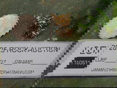 Gold-Tone Angel Lapel Pin with Detailed Wings