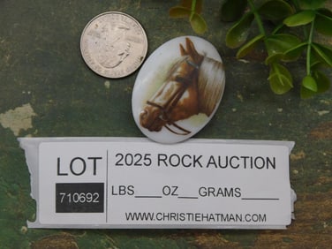 Horse Cabochon Magnet