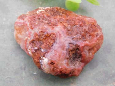 Rock Stone Lapidary Specimen